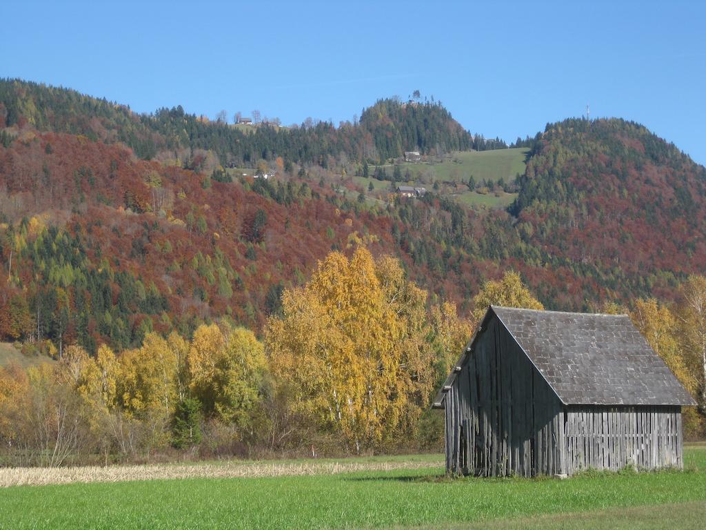 Haus Moser Wörschach Kültér fotó